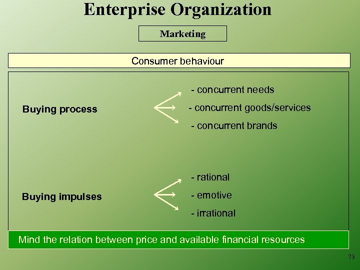 Enterprise Organization Marketing Consumer behaviour - concurrent needs Buying process - concurrent goods/services -