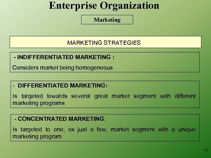 Enterprise Organization Marketing MARKETING STRATEGIES - INDIFFERENTIATED MARKETING : Considers market being homogeneous -