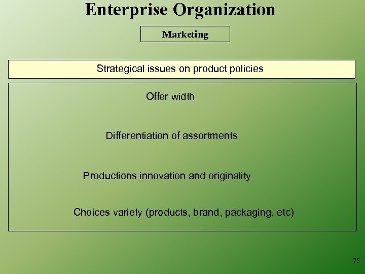 Enterprise Organization Marketing Strategical issues on product policies Offer width Differentiation of assortments Productions