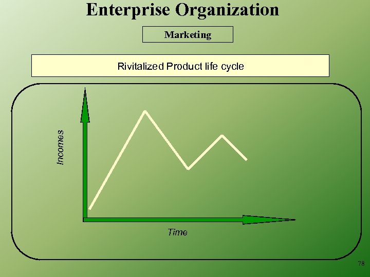 Enterprise Organization Marketing Incomes Rivitalized Product life cycle Time 78 