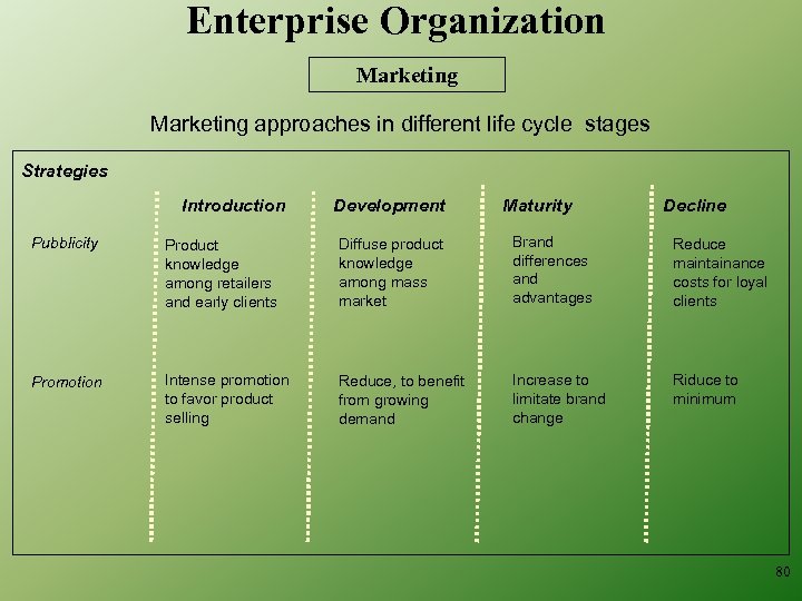 Enterprise Organization Marketing approaches in different life cycle stages Strategies Introduction Development Maturity Decline