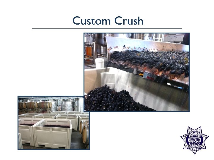 Custom Crush 