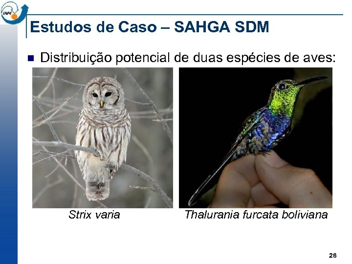 Estudos de Caso – SAHGA SDM n Distribuição potencial de duas espécies de aves: