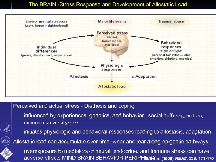 The BRAIN -Stress Response and Development of Allostatic Load Perceived and actual stress -