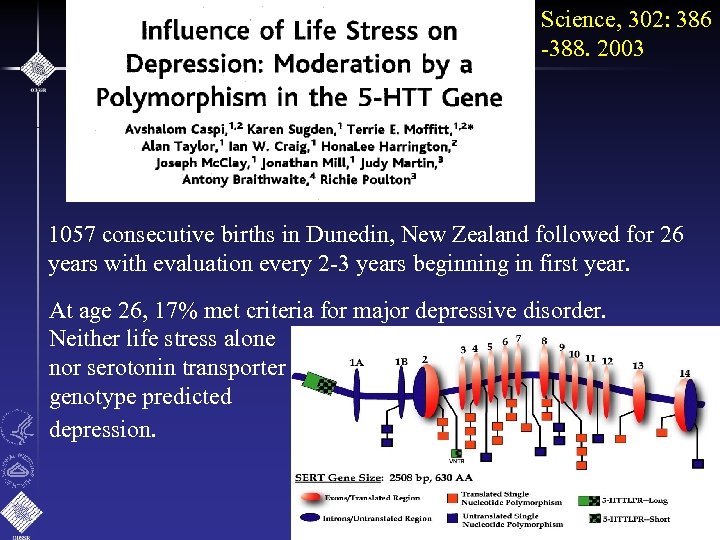 Science, 302: 386 -388. 2003 1057 consecutive births in Dunedin, New Zealand followed for