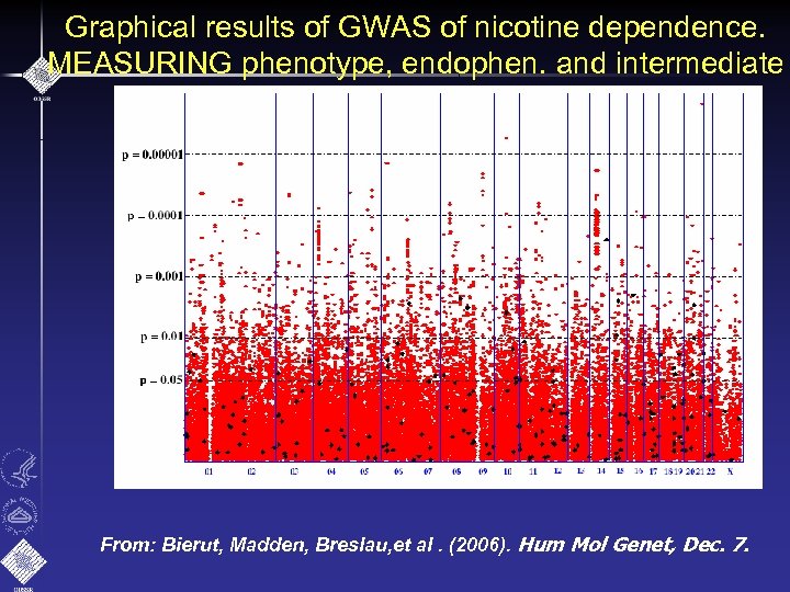 Graphical results of GWAS of nicotine dependence. MEASURING phenotype, endophen. and intermediate From: Bierut,
