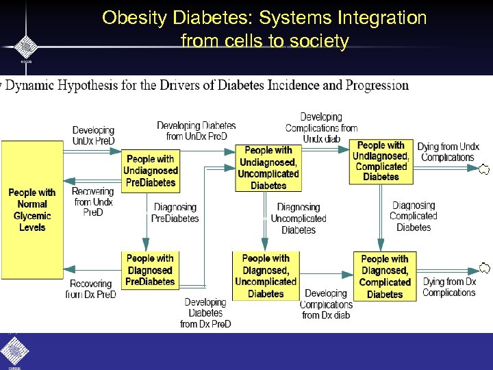 Obesity Diabetes: Systems Integration from cells to society 