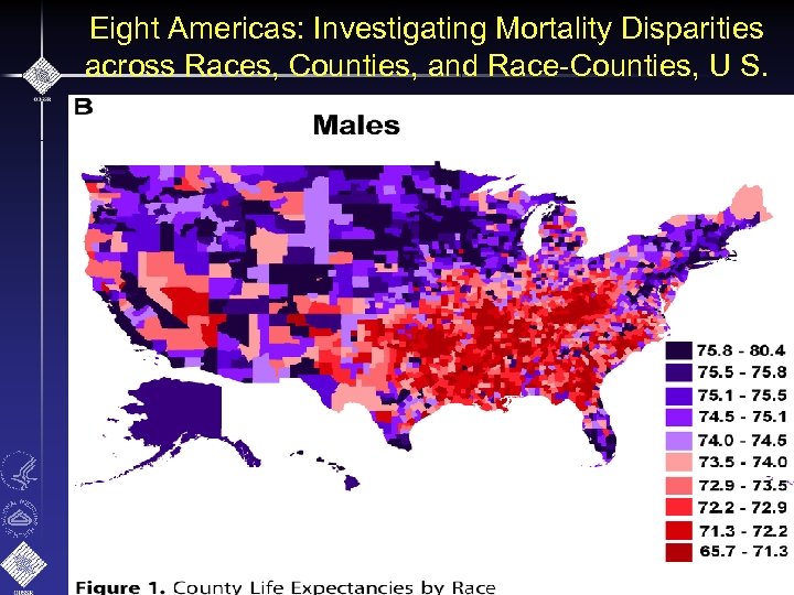 Eight Americas: Investigating Mortality Disparities across Races, Counties, and Race-Counties, U S. 