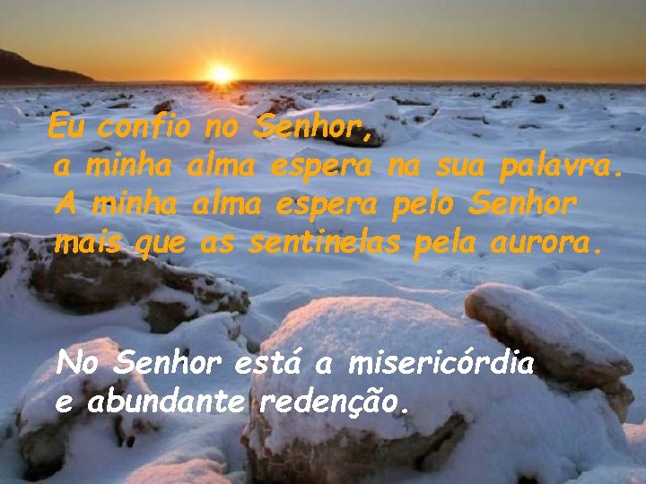 Eu confio no Senhor, a minha alma espera na sua palavra. A minha alma