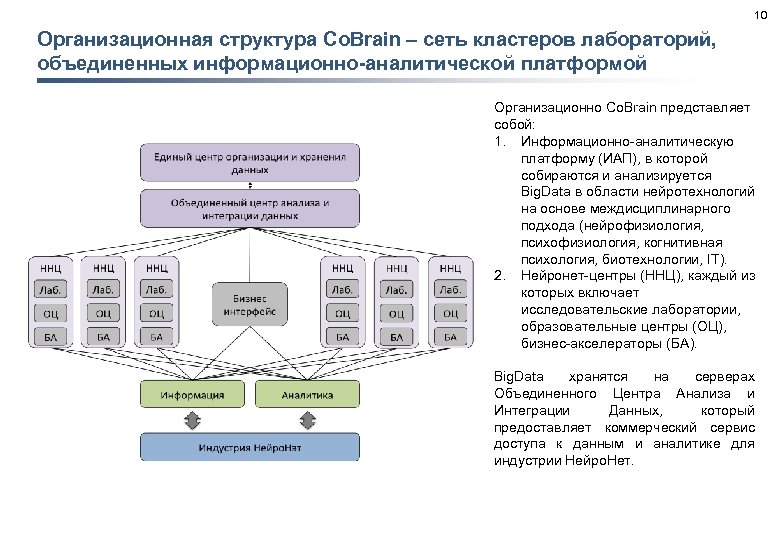 10 Организационная структура Co. Brain – сеть кластеров лабораторий, объединенных информационно-аналитической платформой Организационно Co.