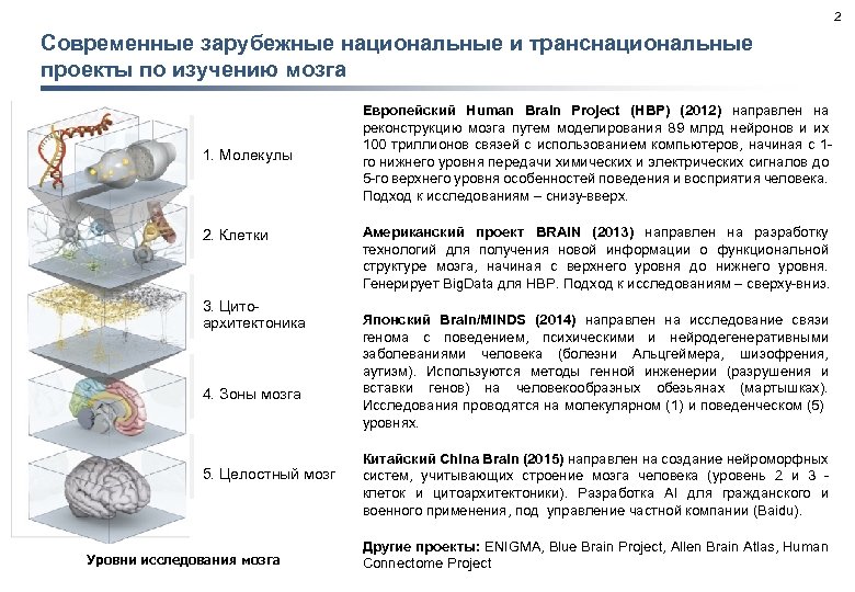 2 Современные зарубежные национальные и транснациональные проекты по изучению мозга 1. Молекулы 2. Клетки