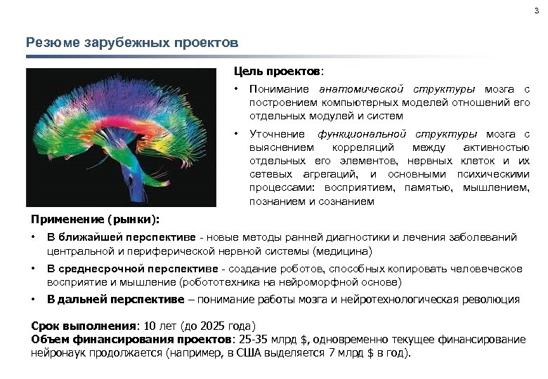 3 Резюме зарубежных проектов Цель проектов: • Понимание анатомической структуры мозга с построением компьютерных