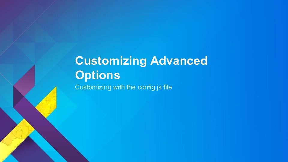 Customizing Advanced Options Customizing with the config. js file 