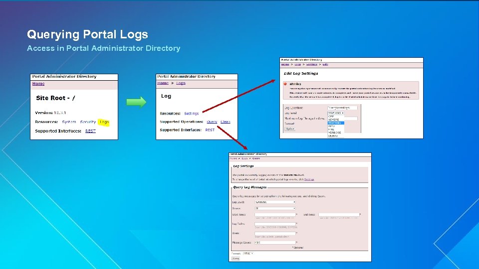 Querying Portal Logs Access in Portal Administrator Directory 