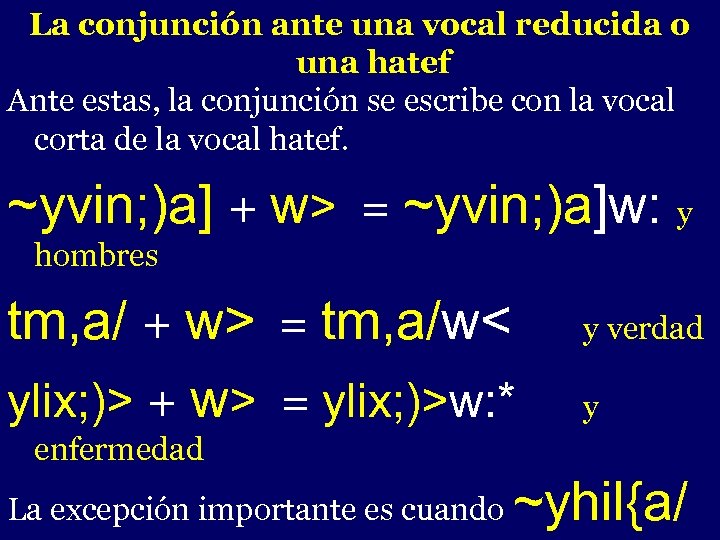 La conjunción ante una vocal reducida o una hatef Ante estas, la conjunción se