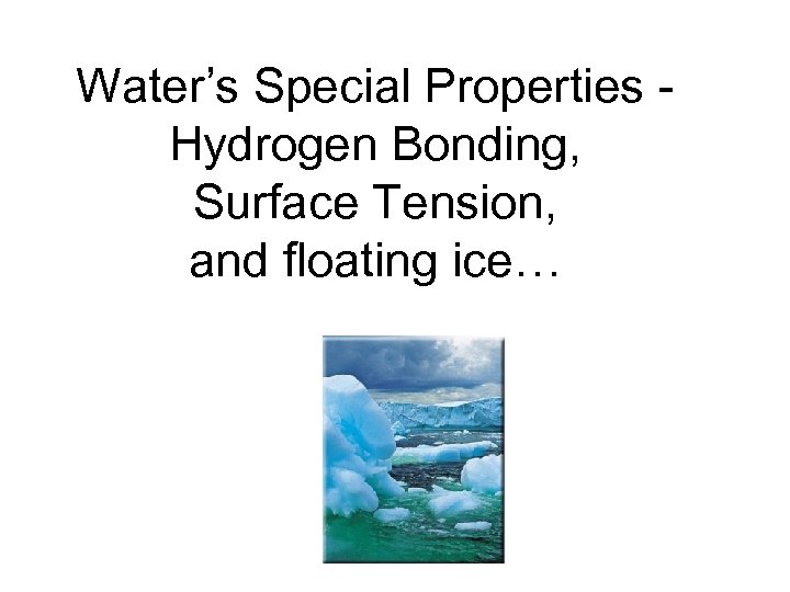 Water s Special Properties Hydrogen Bonding Surface Tension and