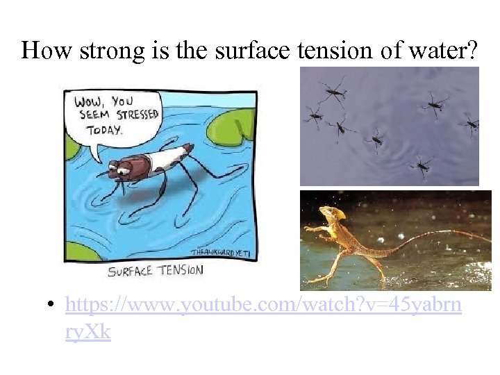 How strong is the surface tension of water? • https: //www. youtube. com/watch? v=45