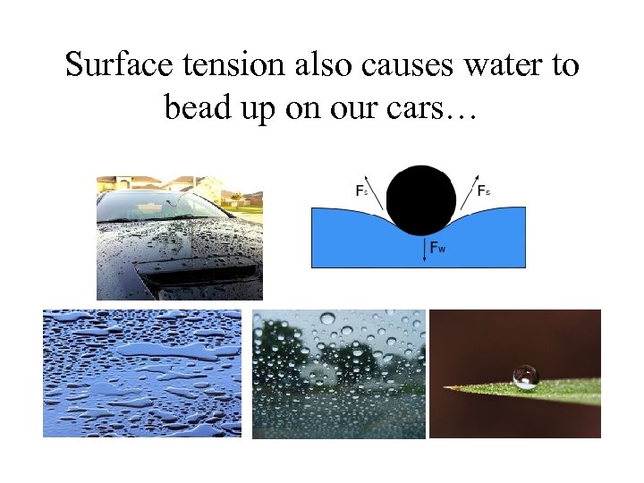 Surface tension also causes water to bead up on our cars… 
