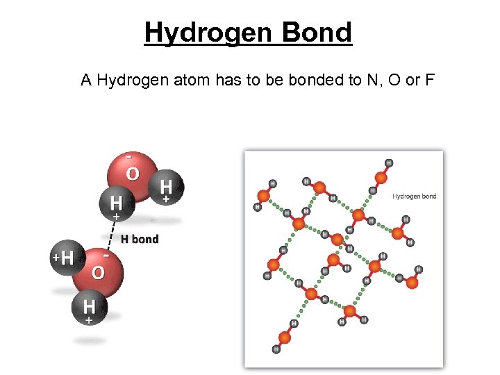 Hydrogen Bond A Hydrogen atom has to be bonded to N, O or F