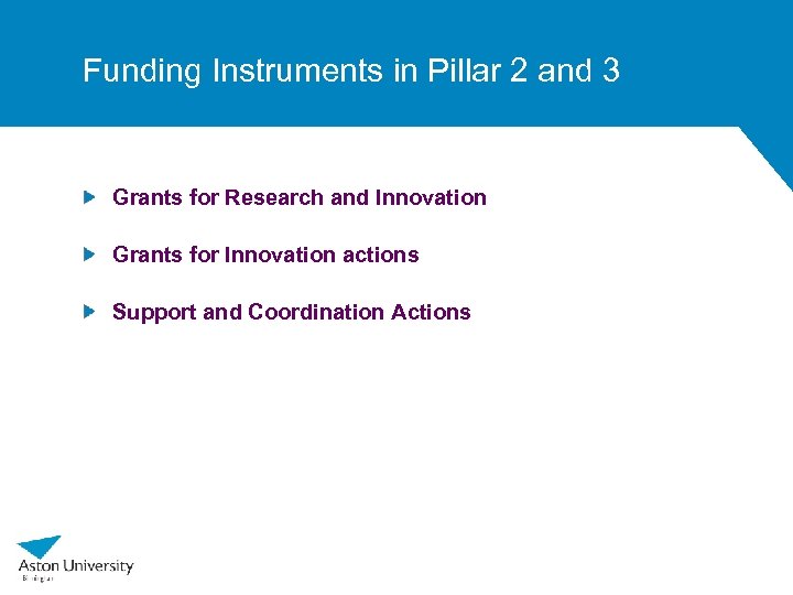 Funding Instruments in Pillar 2 and 3 Grants for Research and Innovation Grants for