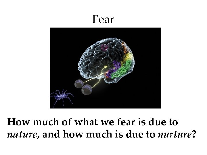 Fear How much of what we fear is due to nature, and how much