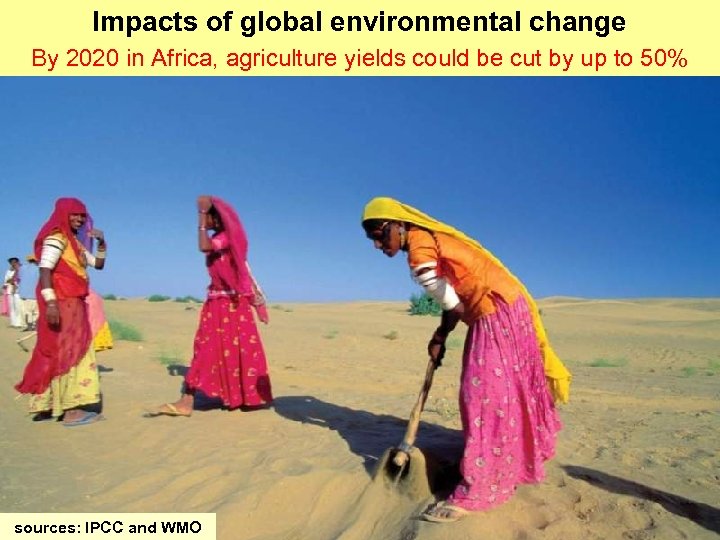 Impacts of global environmental change By 2020 in Africa, agriculture yields could be cut