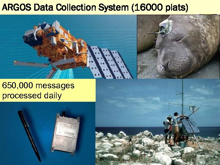 ARGOS Data Collection System (16000 plats) 650, 000 messages processed daily 