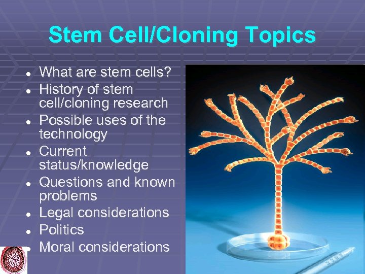 Stem Cell/Cloning Topics What are stem cells? History of stem cell/cloning research Possible uses