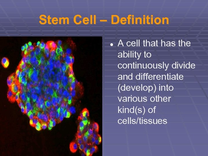 Stem Cell – Definition A cell that has the ability to continuously divide and