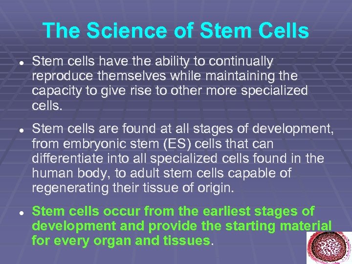 The Science of Stem Cells Stem cells have the ability to continually reproduce themselves