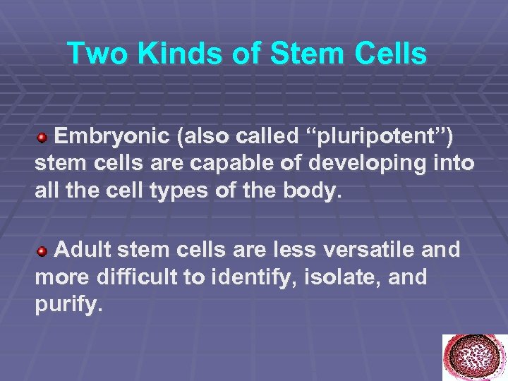 Two Kinds of Stem Cells Embryonic (also called “pluripotent”) stem cells are capable of
