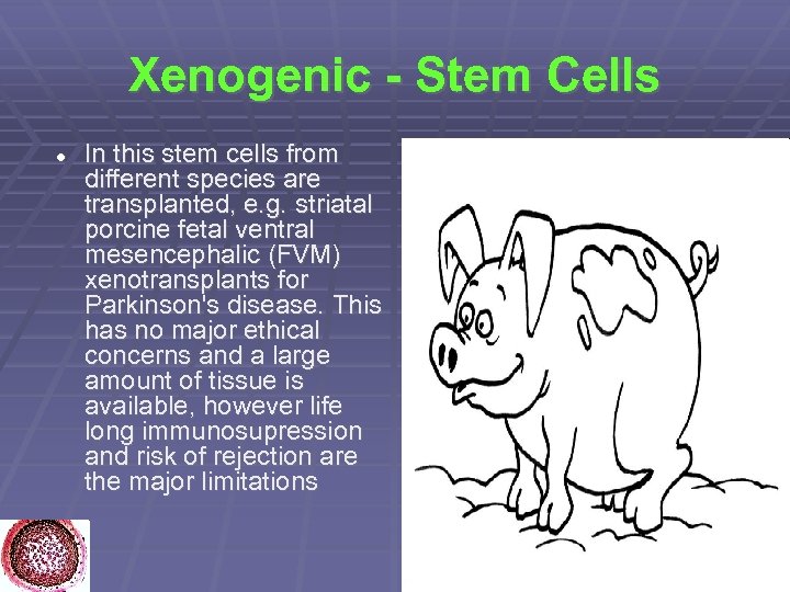 Xenogenic - Stem Cells In this stem cells from different species are transplanted, e.