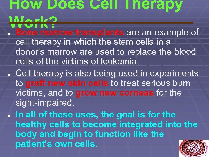 How Does Cell Therapy Work? transplants are an example of Bone marrow cell therapy