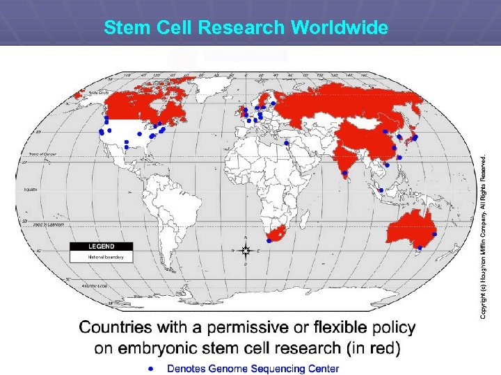 Stem Cell Research Worldwide 