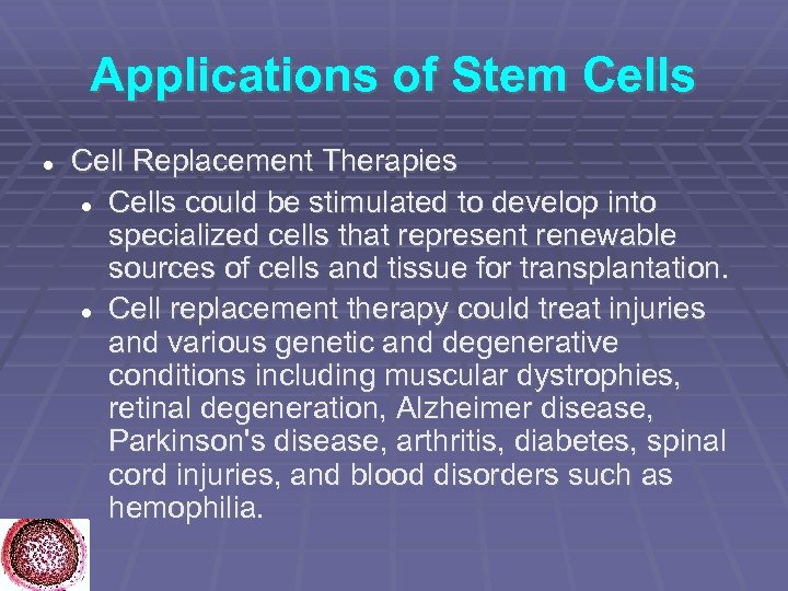 Applications of Stem Cells Cell Replacement Therapies Cells could be stimulated to develop into