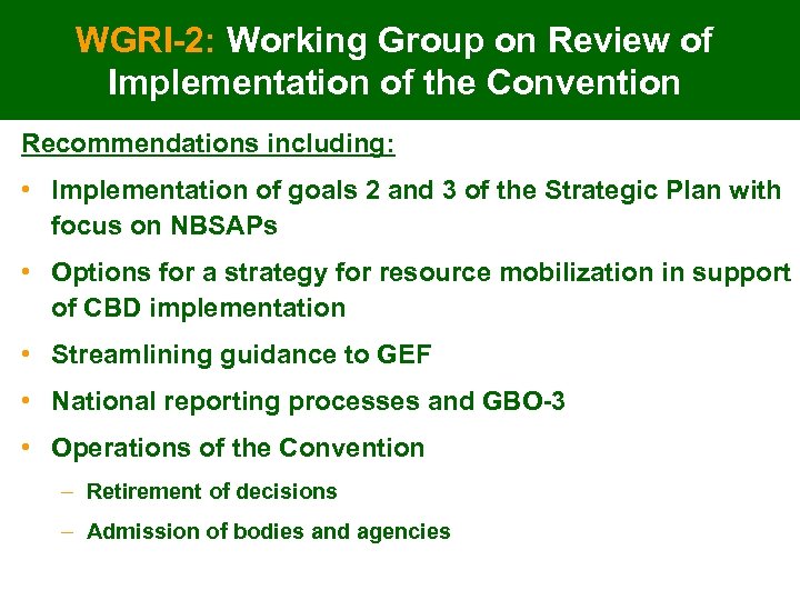 WGRI-2: Working Group on Review of Implementation of the Convention Recommendations including: • Implementation