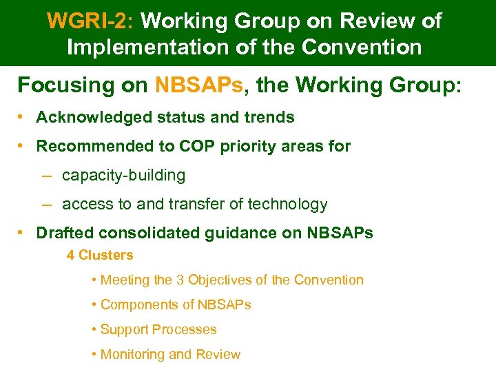 WGRI-2: Working Group on Review of Implementation of the Convention Focusing on NBSAPs, the