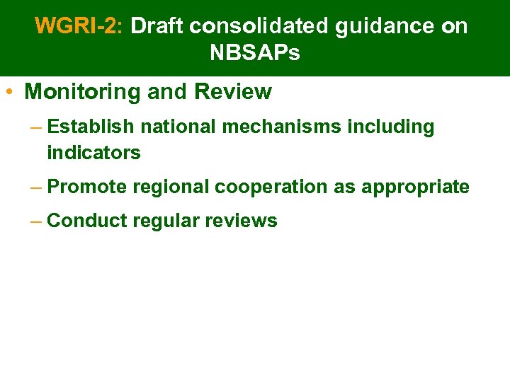 WGRI-2: Draft consolidated guidance on NBSAPs • Monitoring and Review – Establish national mechanisms