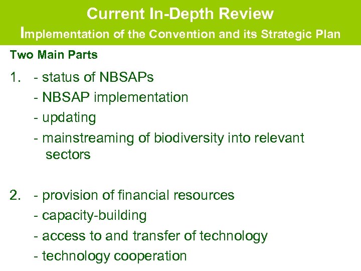 Current In-Depth Review Implementation of the Convention and its Strategic Plan Two Main Parts