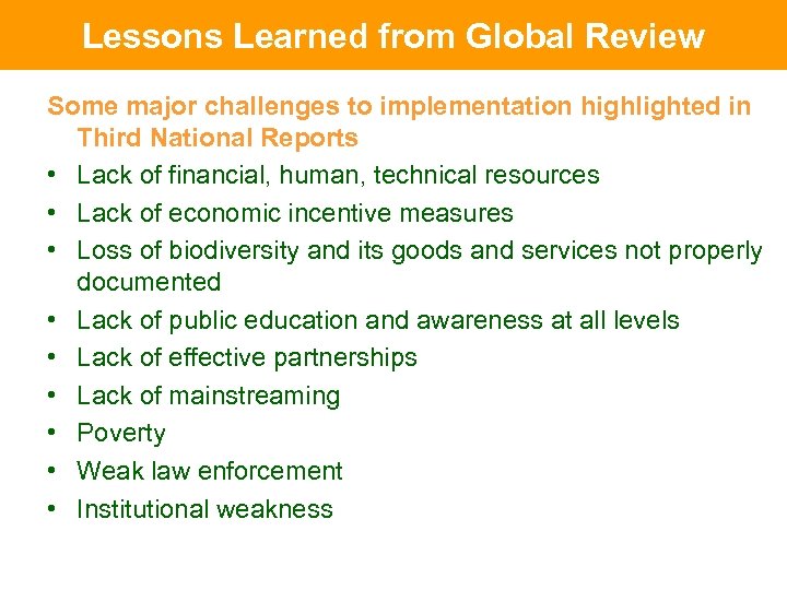 Lessons Learned from Global Review Lessons Learned Some major challenges to implementation highlighted in