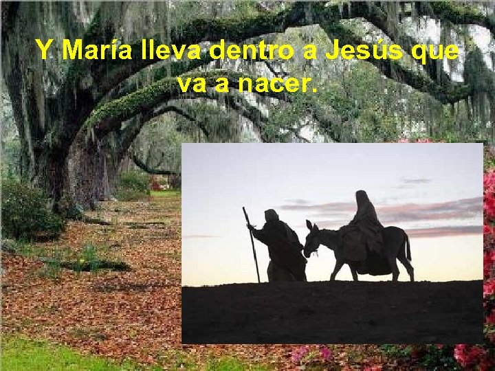 Y María lleva dentro a Jesús que va a nacer. 