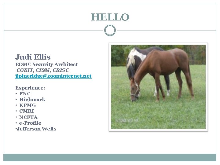HELLO Judi Ellis EDMC Security Architect CGEIT, CISM, CRISC jjpineridge@zoominternet. net Experience: • PNC