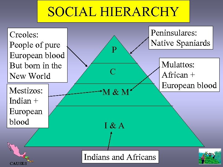 SOCIAL HIERARCHY Creoles: People of pure European blood But born in the New World