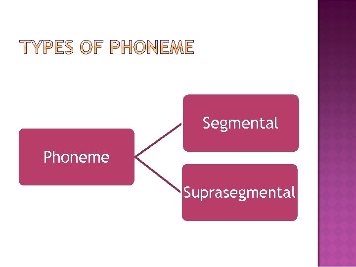 Segmental Phoneme Suprasegmental 