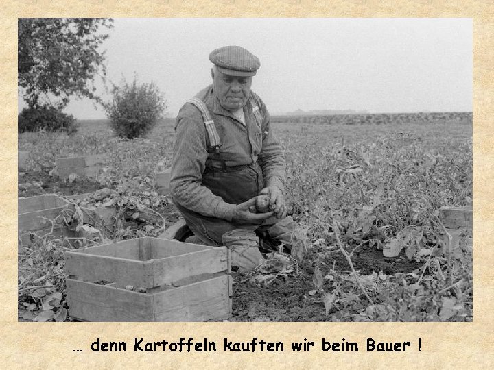 … denn Kartoffeln kauften wir beim Bauer ! 