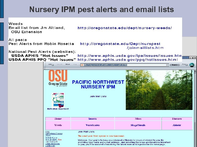 Nursery IPM pest alerts and email lists 