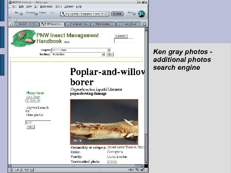 Ken gray photos additional photos search engine 