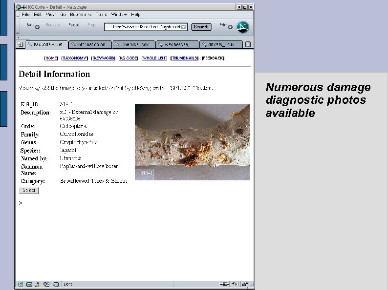 Numerous damage diagnostic photos available 