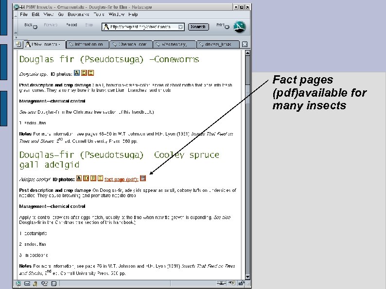 Fact pages (pdf)available for many insects 