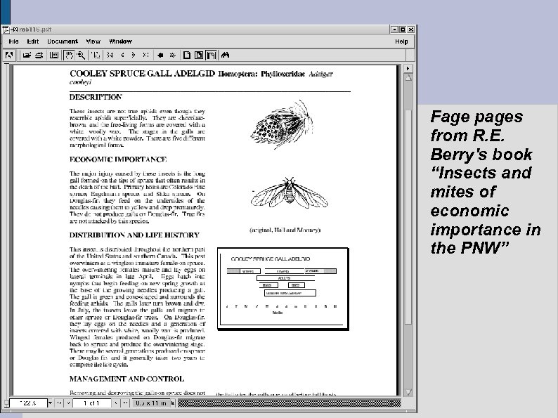 Fage pages from R. E. Berry's book “Insects and mites of economic importance in